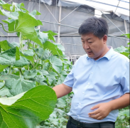 每人每年0000元以上